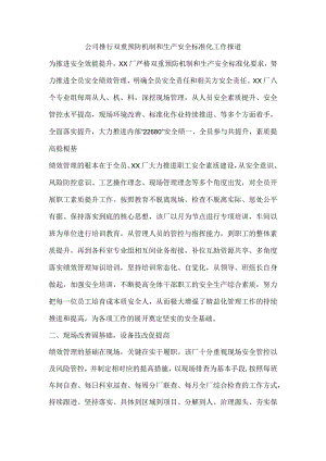 公司推行双重预防机制和生产安全标准化工作报道.docx