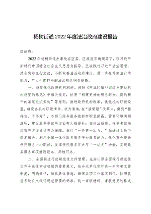 杨树街道2022年度法治政府建设报告.docx