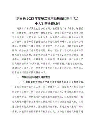 副县长2023年度第二批主题教育民主生活会个人对照检查材料.docx