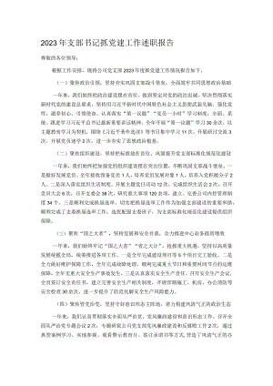 2023年支部书记抓党建工作述职报告.docx