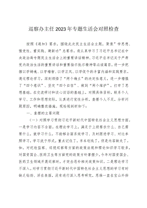 巡察办主任2023-2024年专题民主生活会新六个方面个人对照检查.docx
