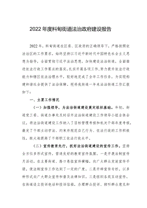 2022年度料甸街道法治政府建设报告.docx