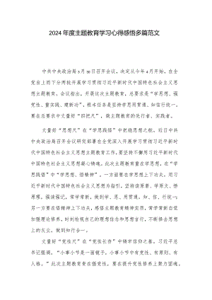 2024年度主题教育学习心得感悟多篇范文.docx