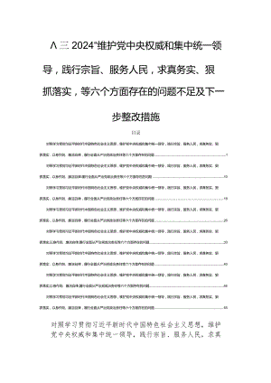 八篇2024“维护党中央权威和集中统一领导践行宗旨、服务人民求真务实、狠抓落实”等六个方面存在的问题不足及下一步整改措施.docx