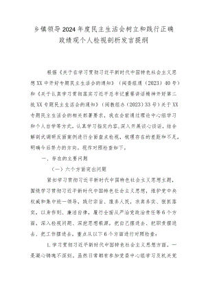 乡镇领导2024年度民主生活会树立和践行正确政绩观个人检视剖析发言提纲.docx