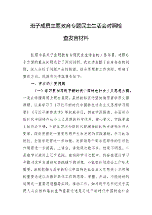 班子成员主题教育专题民主生活会对照检查发言材料.docx