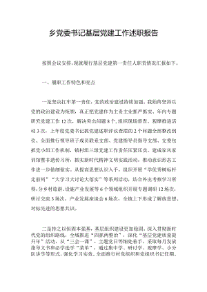 乡党委书记基层党建工作述职报告.docx