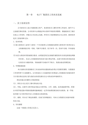 电子厂集团员工培训及发展.docx