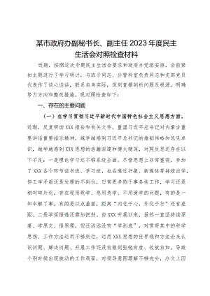 某市政府办副秘书长、副主任2023年度民主生活会对照检查材料.docx