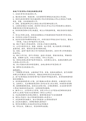 房地产开发有限公司副总经理岗位职责.docx