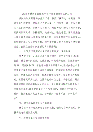 高等院校开展2023年重大事故隐患专项排查整治行动工作总结 （汇编4份）.docx