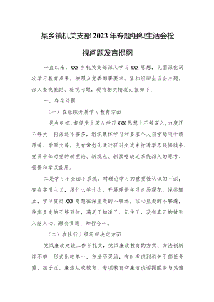 某乡镇机关支部2023年专题组织生活会检视问题发言提纲.docx