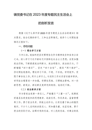 镇党委书记在2023年度专题民主生活会上的剖析发言.docx