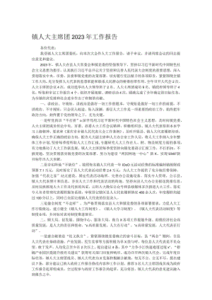 镇人大主席团2023年工作报告.docx