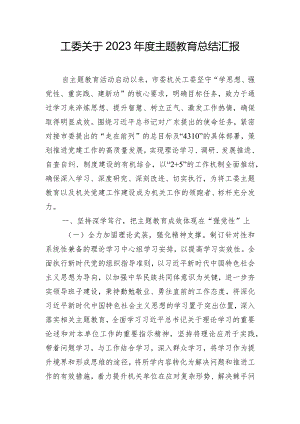工委关于2023年度主题教育总结汇报.docx