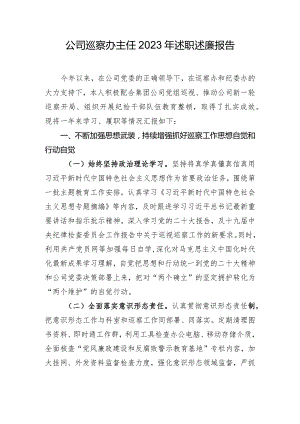 公司巡察办主任2023年述职述廉报告.docx