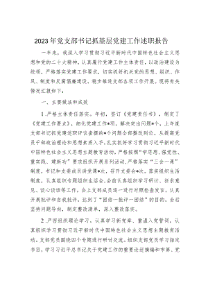 2023年党支部书记抓基层党建工作述职报告.docx