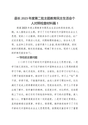 县长2023年度第二批主题教育民主生活会个人对照检查材料2篇.docx