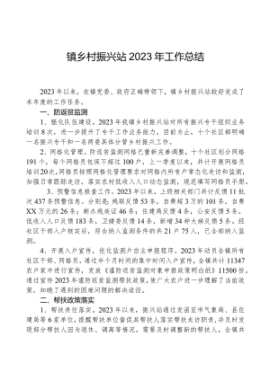 镇乡村振兴站2023年工作总结.docx
