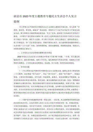 副县长2023年度主题教育专题民主生活会个人发言提纲.docx