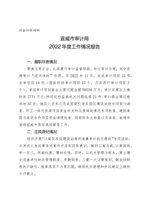 社会评价材料宣威市审计局2022年度工作情况报告.docx