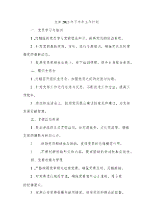支部23年下半年工作计划.docx