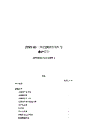 北新建材：嘉宝莉化工集团股份有限公司审计报告.docx