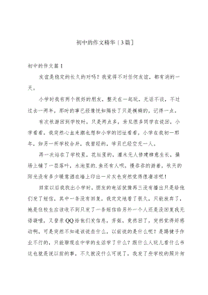 初中的作文精华[3篇].docx