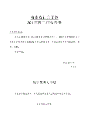 海南省社会团体201年度工作报告书.docx