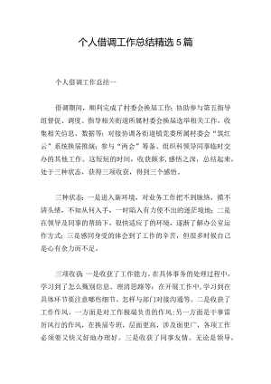 个人借调工作总结精选5篇.docx