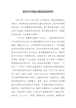 某市乡村振兴典型经验材料.docx