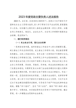 2023年度党政主要负责人述法报告.docx
