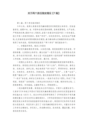 关于两个责任落实情况【7篇】.docx