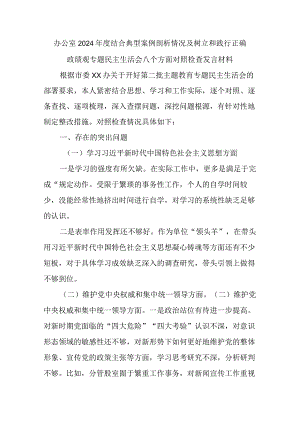 办公室2024年度结合典型案例剖析情况及树立和践行正确政绩观专题民主生活会八个方面对照检查发言材料.docx