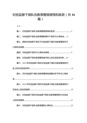 纪检监察干部队伍教育整顿感悟和收获范文精选(16篇).docx