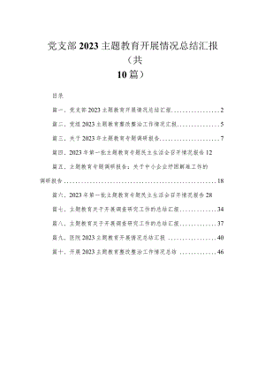 党支部专题开展情况总结汇报【10篇精选】供参考.docx