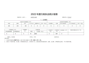2022年度行政执法统计报表.docx