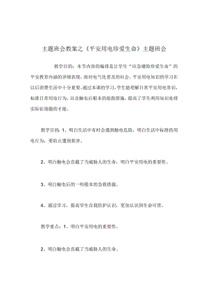 【精选】《安全用电 珍爱生命》主题班会.docx