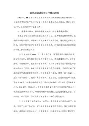 审计局审计监督工作情况报告.docx