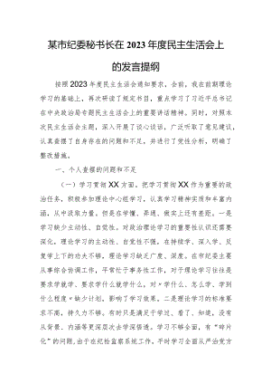 某市纪委秘书长在2023年度民主生活会上的发言提纲.docx