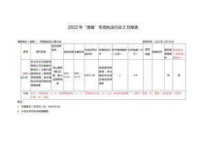 2022年“海盾”专项执法行动2月报表.docx