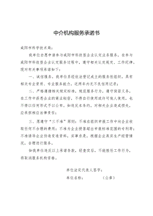 中介机构服务承诺书.docx