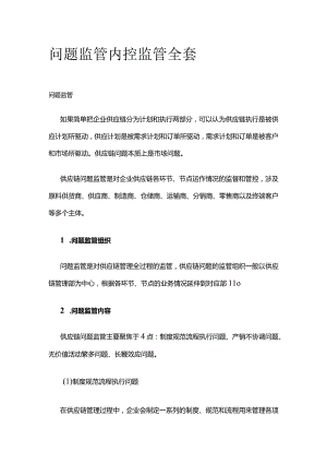 问题监管 内控监管全套.docx