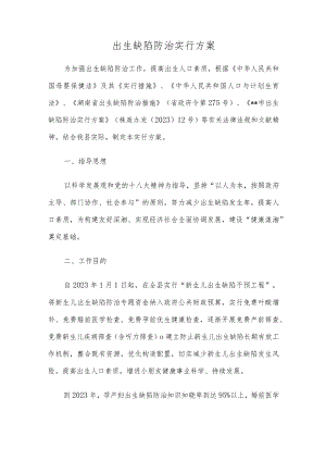 出生缺陷防治实行方案精选文稿.docx