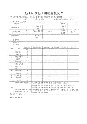施工标准化工地检查概况表.docx