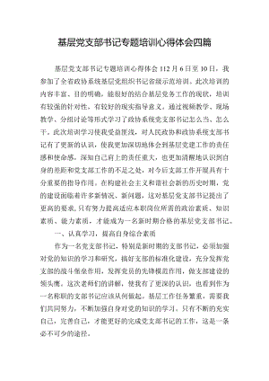 基层党支部书记专题培训心得体会四篇.docx