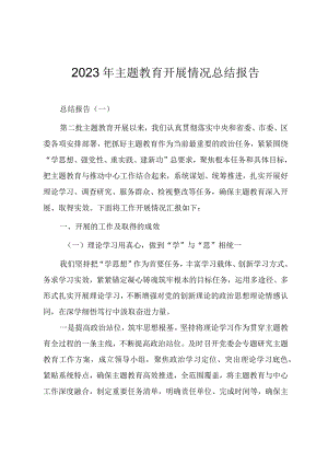 2023年主题教育开展情况总结报告参考范文（十篇）.docx