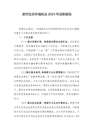 某市生态环境执法2023年述职报告.docx