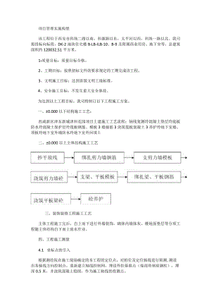 项目实施构想.docx