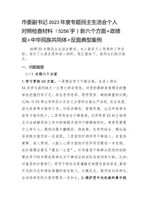 市委副书记2023年度专题民主生活会个人对照检查材料（践行宗旨等6个方面+政绩观+共同体意识+反面典型案例）.docx